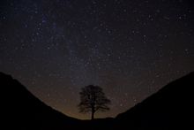 Sycamore Gap