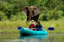 Canoeing on the Zambezi - Stubborn Mule Travel 