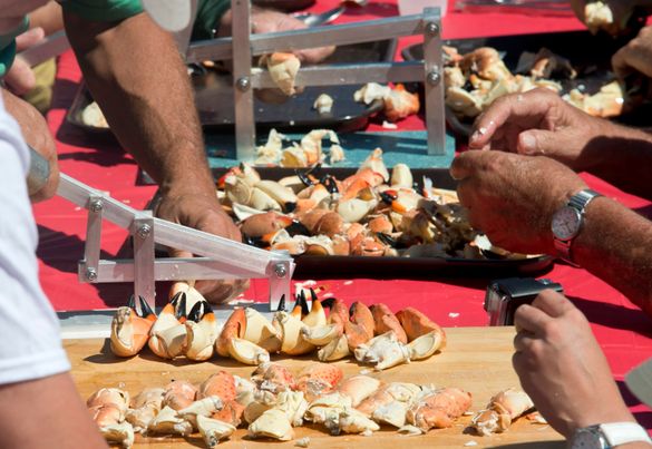 In this photo provided by the Florida Keys News Bureau, stone crab claws are cracked by contestants participating in the Keys Fi