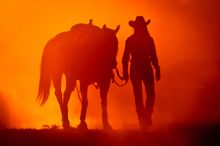 Wyoming Rodeo