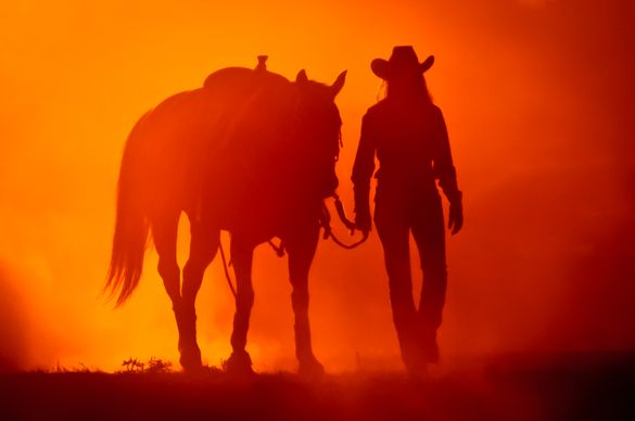 Wyoming Rodeo