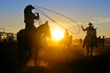 Cowboy heritage