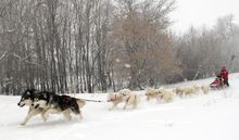 Dogsledding fun in North Dakota