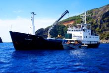 Claymore II at Pitcairn Island