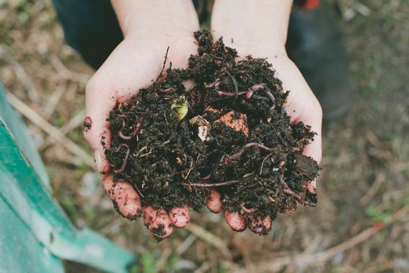 Organic Garden Trail