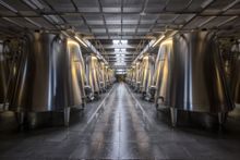 SPOON by Alain Ducasse - Chateau Pichon-Lelande Wine Dinner (Image of Chateau Pichon-Lelande's Wine Storage)