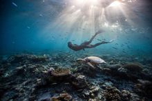Eusebio Saenz de Santamaria enjoying freediving with turtle in the house reef