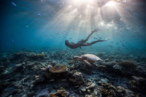 Eusebio Saenz de Santamaria enjoying freediving with turtle in the house reef