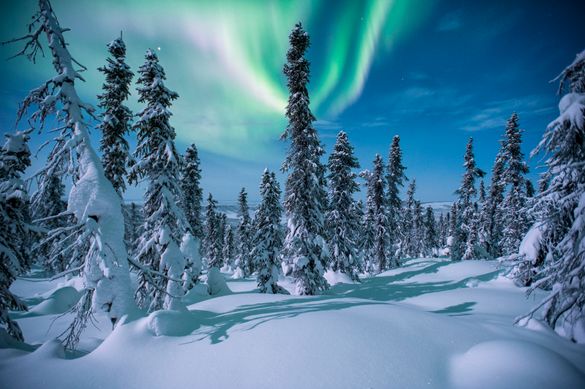 Northern lights on the Dempster Highway, Yukon