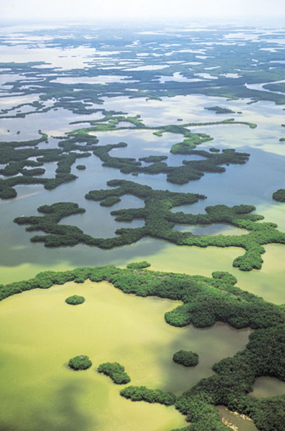 Ten Thousand Islands aerial view.