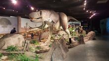 Animatronic dinosaur exhibit at the Las Vegas Natural History Museum. Credit: Las Vegas Natural History Museum