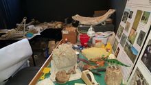 Paleo Lab at the Natural History Museum. Credit: Las Vegas Natural History Museum