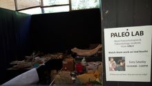 Paleo Lab at the Las Vegas Natural History Museum. Credit: Las Vegas Natural History Museum