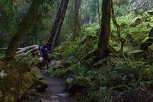 Australian Adventure Festival - Mitchell River NP
