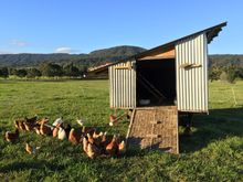 Fosterton Farm, Dungog