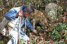 To Tuscany: Truffle-hunting season