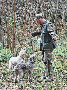 To Tuscany: Truffle-hunting season