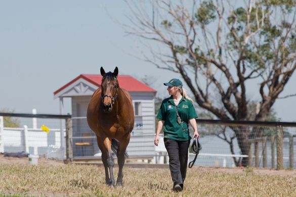 Living Legend Silent Witness