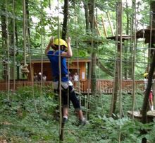 Zip lining in the Black Forest