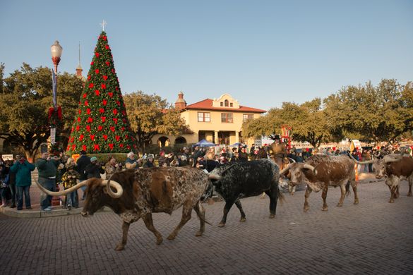 Christmas in the Stockyards - Fort Worth, Texas 