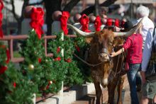Christmas in the Stockyards - Fort Worth, Texas
