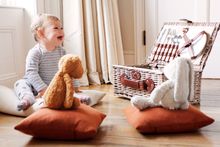 Teddy Bear's Picnic