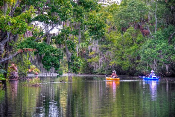 Hike, bike and paddle Daytona Beach trails.