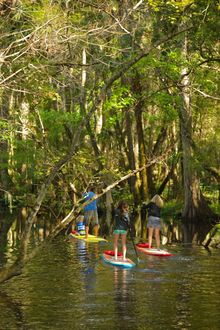 Hike, bike and paddle Daytona Beach trails.