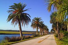 Bicyclists have long loved The Loop, a canopied 34-mile long, two-lane road within the Tomoka River Basin area.