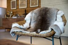 Reindeer skin from Iceland