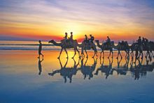 Cable Beach Sunset Camel Ride, Broome