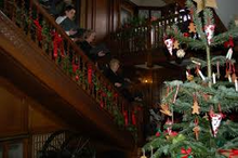 Quexmas, carol singers and Christmas tree