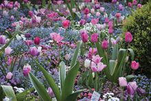 Floriade Rhine Rhone