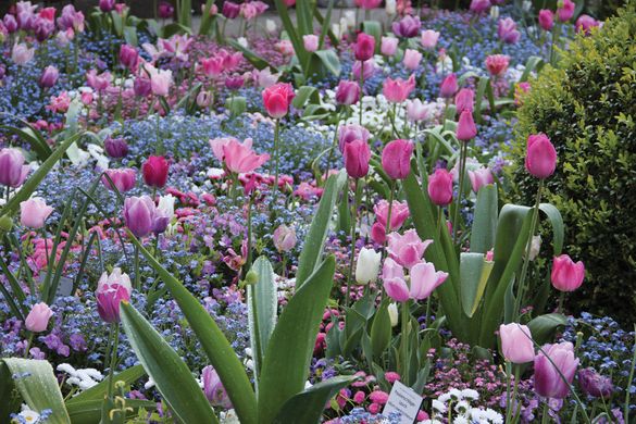 Floriade Rhine Rhone