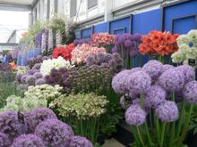 Chelsea Flower Show