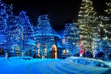 Blossom of lights