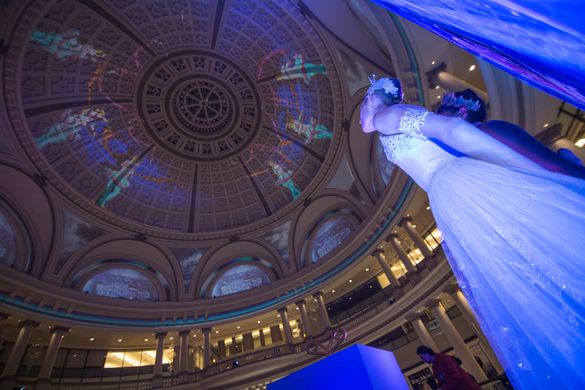 Under the Dome - Nutcracker