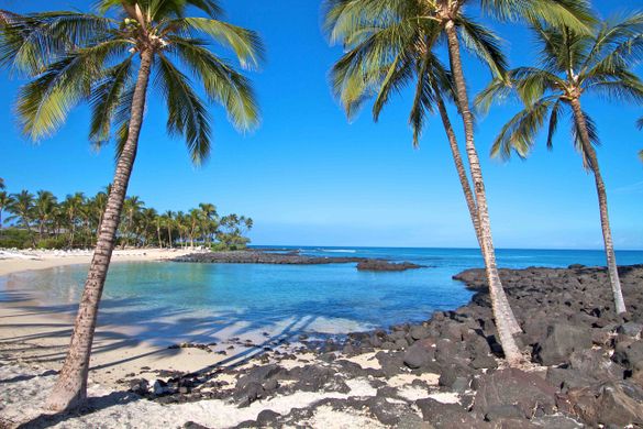 Hawaii Big Island Tour
