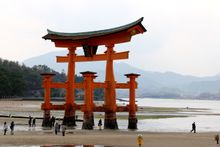 Japan Tori Gate