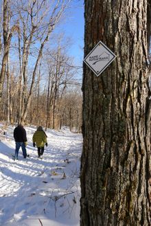 Maine Huts & Trails