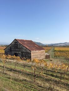 Celebrate the colors of Sonoma County, California.