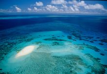 Upolu Cay - Great Barrier Reef