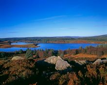 Kielder Water & Forest Park