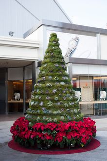 Westfield Century City