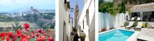 Almohalla 51