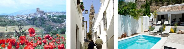 Almohalla 51