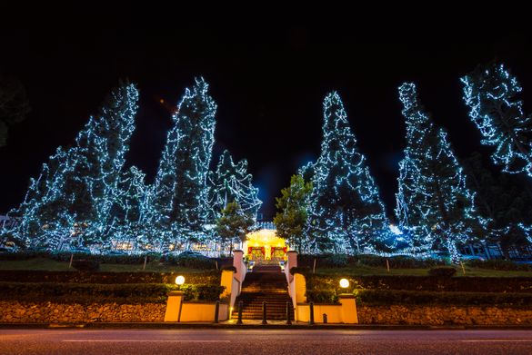 Cameron Highlands Resort ready for the festive season Cameron Highlands Resort ready for the festive season