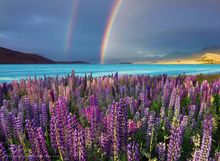 Lake Tekapo by @danielmurray.nz