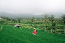 Bali