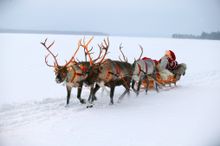 See Santa in 2016